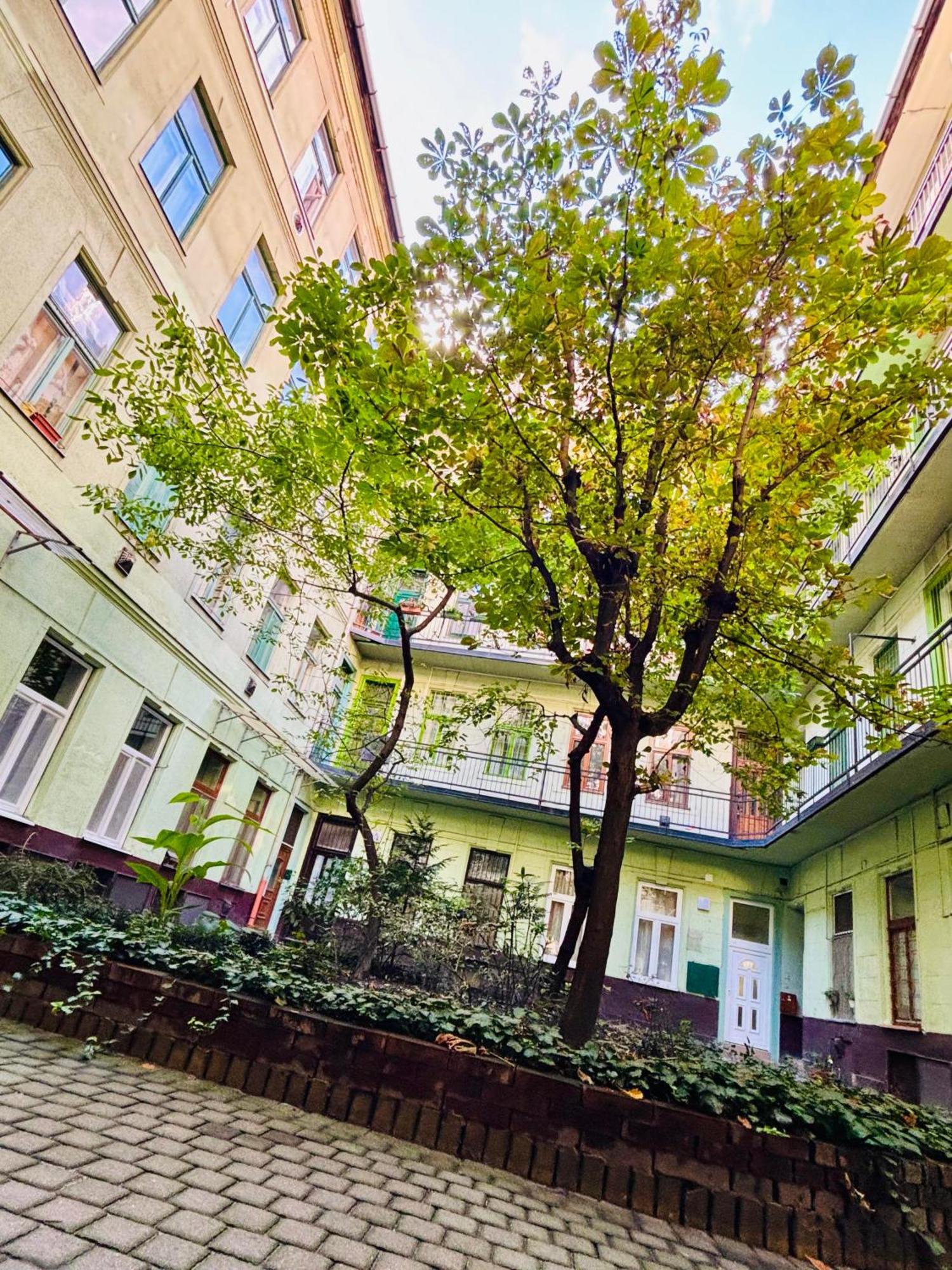 Ava Central Residence Будапеща Екстериор снимка